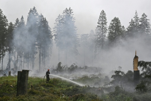 Un pompier arrose la végétation lors d'une intervention contre un feu de forêt dans la réserve naturelle des Hautes Fagnes, près de Baelen, le 18 août 2026 en Belgique — JOHN THYS / AFP