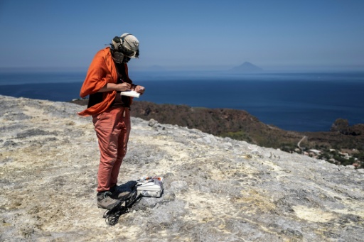 Using drones prevents researchers from having to use protective equipment to do it themselves