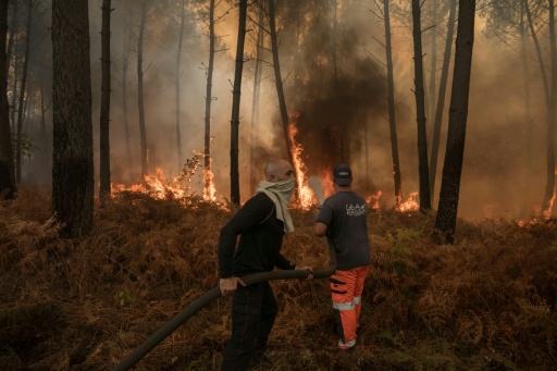 Des bénévoles aident les pompiers à lutter contre un incendie de forêt à Lanton, le 29 juillet 2026 — Ed JONES / AFP