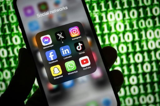 L'interdiction des réseaux sociaux aux moins de 15 ans censurée, au nom de la liberté d'expression