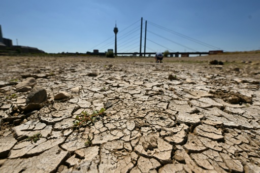 Rhein-Niedrigwasser errreicht in Köln neuen Tiefststand