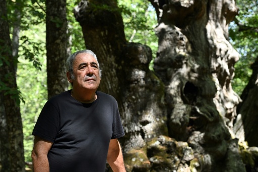 Javier Garcia, un des habitants ayant sauvé des flammes le châtaignier monumental surnommé "El Abuelo", pose à ses côtés quelques jours après le passage d'un incendie de forêt dans la zone, près d'El Tiemblo (Espagne), le 30 juillet 2026 — JAVIER SORIANO / AFP
