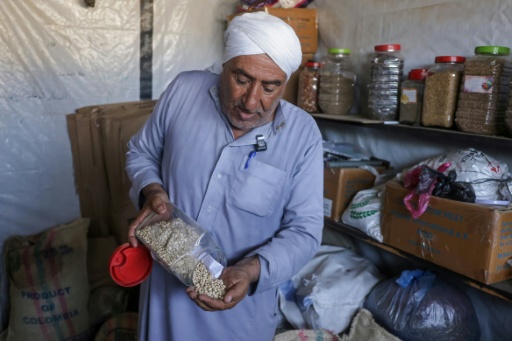 'Ray of hope': Gaza seed bank rebuilds after wartime destruction