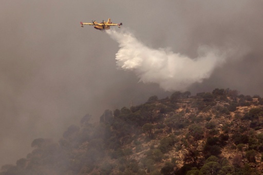 Tourists were trying to enjoy Spain's capital even as firefighting aircraft fought wildfire burning only a few dozen kilometres away — Oscar DEL POZO / AFP