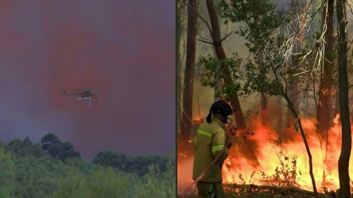 Dos pilotos mueren en un choque entre helicópteros que combatían incendios en Grecia — Will VASSILOPOULOS, Spyros BAKALIS, Pablo COZZAGLIO, Annia HIDALGO / AFP
