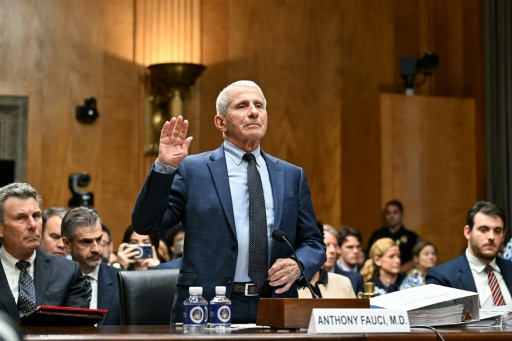 US Senate panel votes to hold top Covid expert Fauci in contempt