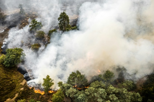 Waldbrand im Südosten der Niederlande nahe NRW ausgebrochen