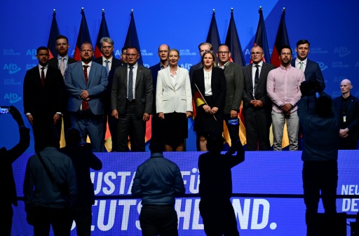 AfD erhebt Machtanspruch und stärkt Doppelspitze - begleitet von Protesten