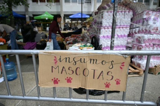 Volunteers organized donations next to a sign reading "pet supplies" at a collection point at the Central University of Venezuela in Caracas — Raul ARBOLEDA / AFP