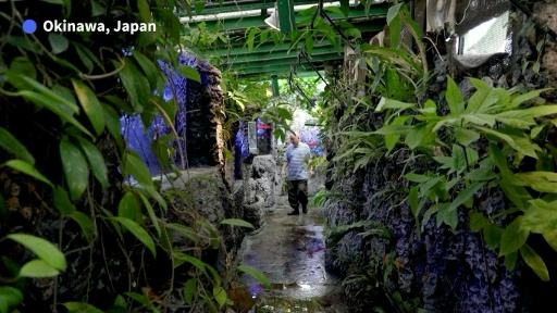 Japan coral protectors race to save reefs from heat 'bomb'