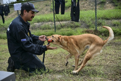 Alexander Parada, del equipo de la Fuerza de Tarea de Rescate Florida 2, juega con Piper, que participó en las labores de rescate, en un campamento en Maiquetía, estado La Guaira, Venezuela, el 4 de julio de 2026.