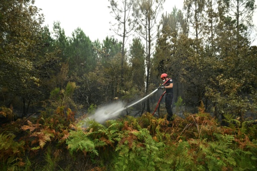 Un pompier arrose de la végétation pour empêcher les reprises de feu, le 16 août 2026 à Luglon, dans les Landes — Gaizka IROZ / AFP