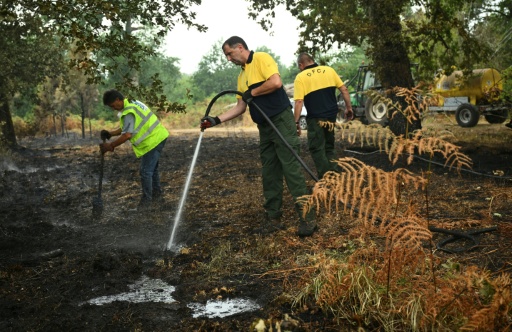 Des membres de la Défense des Forêts Contre les Incendies (DFCI) éteignent les débris d'un incendie, le 16 août 2026 à Luglon, dans les Landes — Gaizka IROZ / AFP