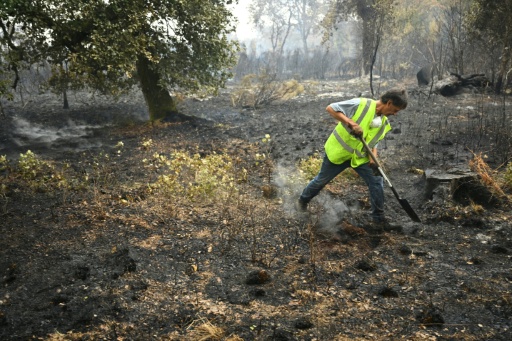 Un membre de la Défense des Forêts Contre les Incendies (DFCI) éteint les débris d'un incendie, le 16 août 2026 à Luglon, dans les Landes — Gaizka IROZ / AFP