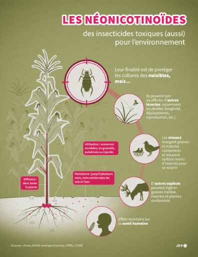 Insecticides: une ONG dénonce des traces d'acétamipride dans le Nutella et le miel