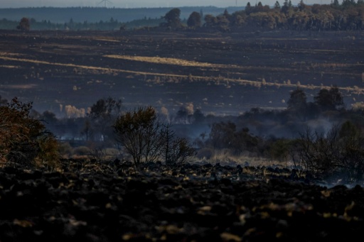 Waldbrand in Belgien laut Behörden "vollumfänglich unter Kontrolle"