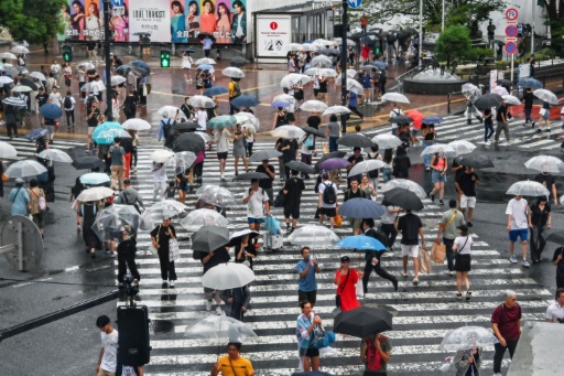 Seoul, Tokyo lead Asian plunge as tech stocks suffer fresh rout