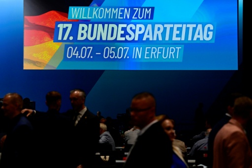 "Ein Herz und eine Seele": Chrupalla beschwört Einheit der AfD-Parteispitze