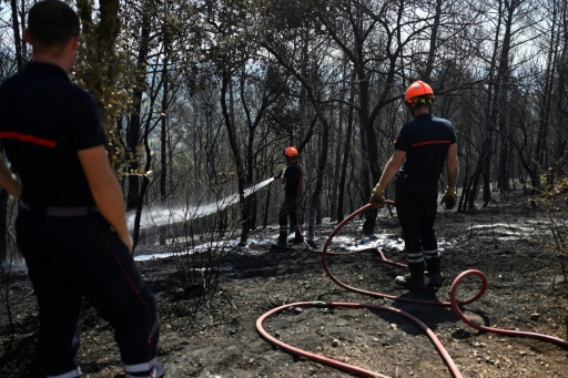 Unos bomberos refrescan un campo quemado en Cotignac, en el sureste de Francia, el 24 de julio de 2026 — Frédéric Dides / AFP