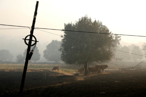 Vista aérea muestra las viviendas dañadas en una zona calcinada de la localidad de Le Porge, tras un incendio forestal en el departamento de Gironda, en el suroeste de Francia, el 27 de julio de 2026 — Ed JONES / AFP