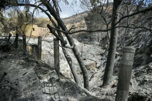Un incendio en el noreste de España calcina más de 12.000 hectáreas