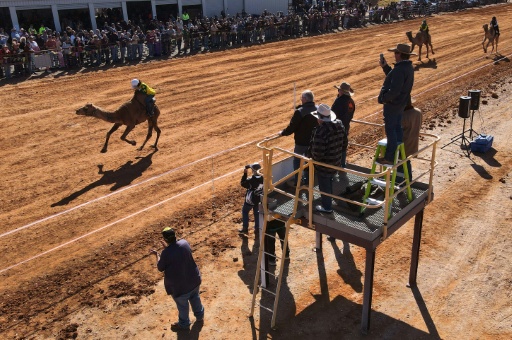 Every year, hundreds of spectators descend on the small town for the annual Marree Camel Cup — William WEST / AFP