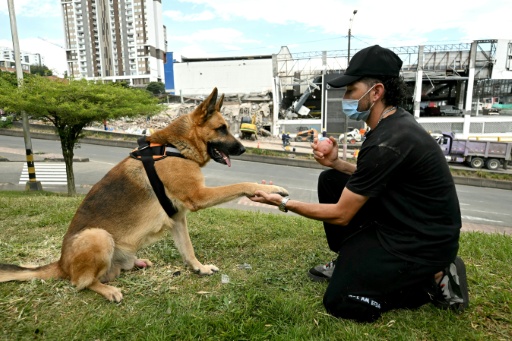 Daniel Flores, afectado por el terremoto, juega con un perro frente a su edificio residencial, en Pereira (Colombia), el 13 de agosto de 2026 — Luis Acosta / AFP