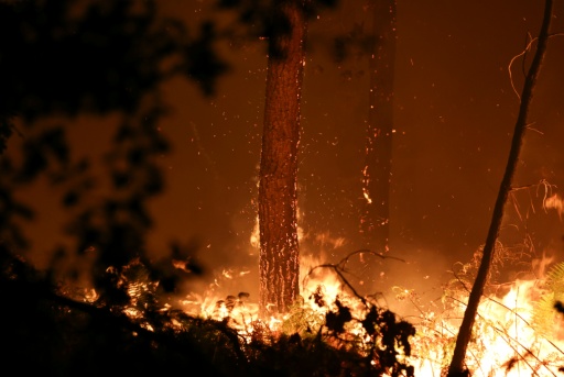Incendie dans les Landes: reprise de feu dans la nuit, 1.580 hectares brûlés