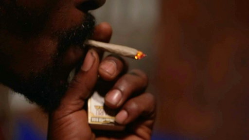 Quênia nega aos rastafáris o direito de fumar maconha por motivos religiosos