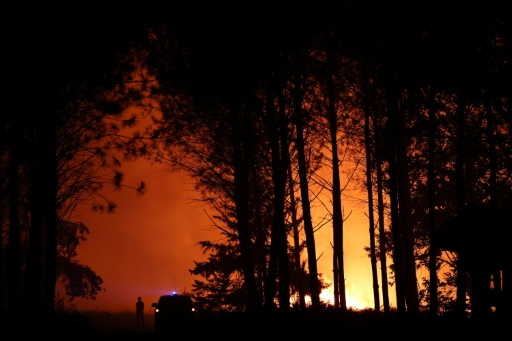 Incendies en Europe : les derniers développements