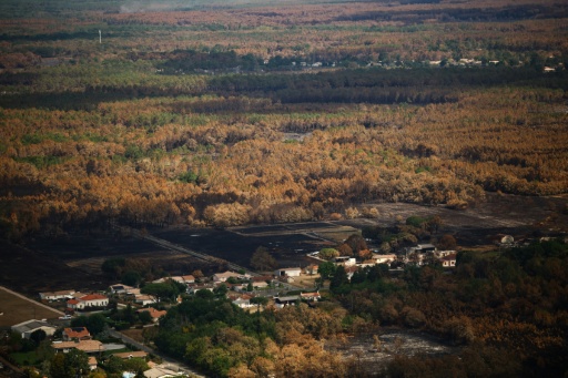 Vue aérienne prise depuis un hélicoptère de la sécurité civile montrant l'étendue des dégâts causés par un incendie sur la commune de Le Porge, en Gironde, le 31 juillet 2026 — Sarah Meyssonnier / AFP
