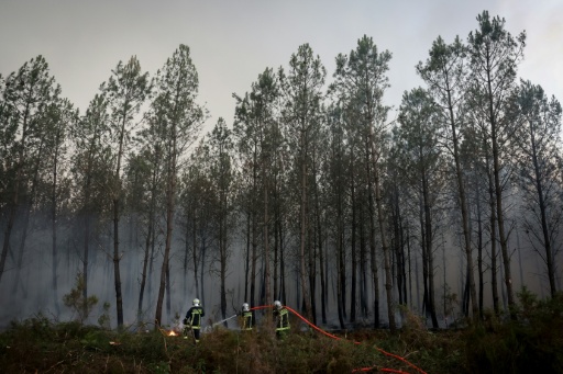 Des pompiers luttent contre un incendie de forêt à Saint-Jean-d'Illac, à environ 30 km de Bordeaux, alors qu'un feu de forêt ravage la forêt au nord du bassin d'Arcachon en Gironde, le 26 juillet 2026 — ROMAIN PERROCHEAU / AFP
