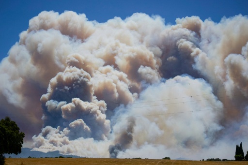 Al menos 11 fallecidos en el incendio forestal en el sur de España, según un nuevo balance