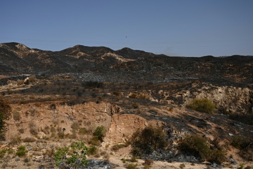 Vue des dégâts causés après un incendie près de Bedar, dans le district de Los Gallardos, dans la province d'Almería, le 10 juillet 2026 en Espagne