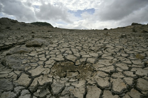 Le sol désséché du réservoir de La Concepción, au sud de Tegucigalpa, dont le niveau d'eau est tombé à 30 %, le 15 août 2026 au Honduras — Orlando SIERRA / AFP