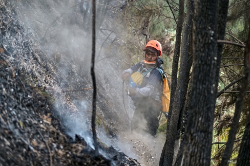 Indonesia cierra escuelas mientras lucha contra los incendios forestales