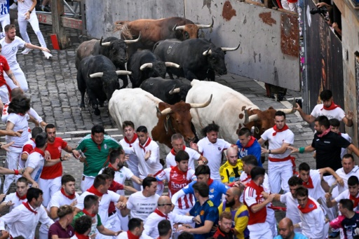 Espagne: dernier jour des fêtes de la San Fermin à Pampelune, 57 blessés cette année