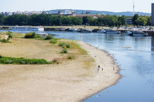 Binnenschiffer: Rhein könnte bald nicht mehr durchgängig befahrbar sein