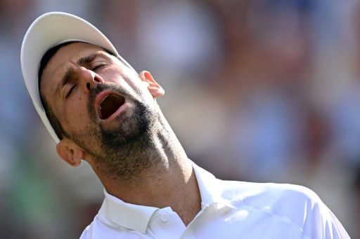 Djokovic querría jugar Wimbledon "al menos una vez" más