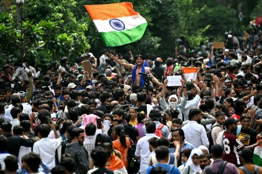 Cockroach Janta Party (CJP) supporters celebrate the resignation of India's Education Minister — Sajjad HUSSAIN / AFP