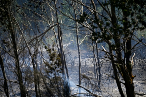 Fires have ravaged the area
