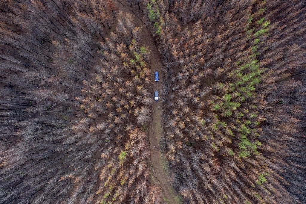 Vue aérienne d'une zone forestière consommée par un feu massif à environ 350 kilomètres au sud de Santiago, le 23 Juin, 2017. Martin Bernetti/AFP