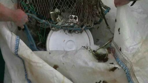 A bord de l'Itsas-Bellara, le bateau pêcheur de déchets flottants au Pays basque