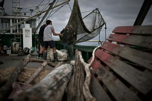 Des membres d'équipage de l'Itsas-Bellara vident un filet rempli de déchets à bord de leur bateau, le 8 septembre 2026 au large de Saint-Jean-de-Luz, dans les Pyrénées-Atlantiques — Philippe LOPEZ / AFP