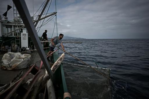 Des membres d'équipage de l'Itsas-Bellara récupèrent des déchets flottants au large de Saint-Jean-de-Luz, dans les Pyrénées-Atlantiques, le 8 septembre 2026 — Philippe LOPEZ / AFP