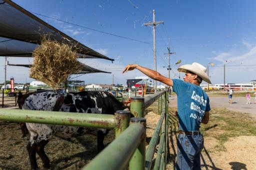 En Nebraska, los votantes quieren que EEUU termine la guerra con Irán
