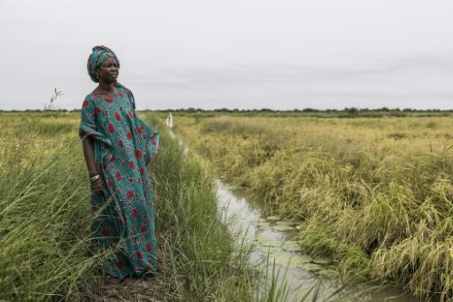 Mai Diop said rice was a big part of her daily life — PATRICK MEINHARDT / AFP