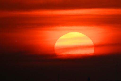 Las olas de calor del verano dejaron un récord de 16.300 muertos en Alemania