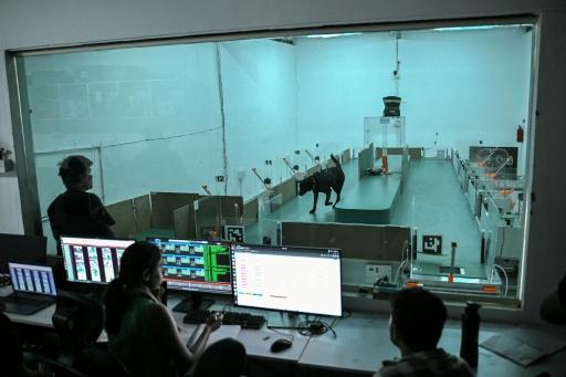 En Inde, le flair des chiens associé à l'IA pour détecter les cancers