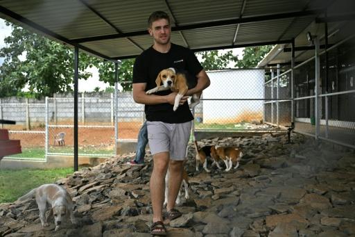 Itamar Bitan, cofondateur de Dognosis, tient un chien dans ses bras dans un chenil de son établissement, le 28 juillet 2026 à Kempohalli, en périphérie de Bangalore, en Inde — Idrees MOHAMMED / AFP